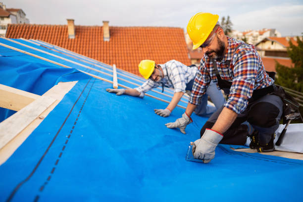 Best Metal Roofing Contractor  in Maple Park, IL