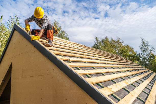 Best Flat Roof Repair Services  in Maple Park, IL