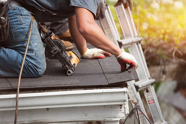 Professional Roofing Contractor in Maple Park, IL